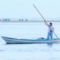 Μιχάλης Κιτσινέλης